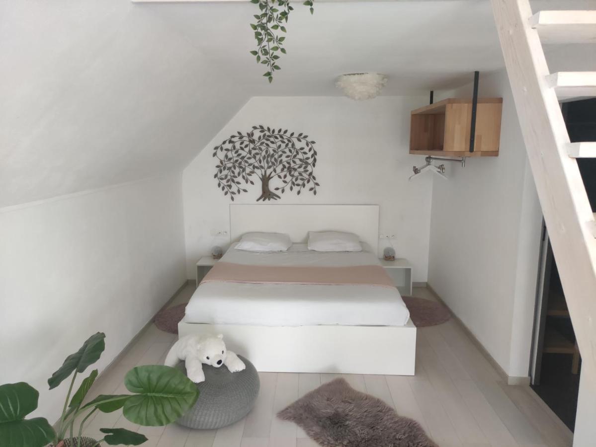 Appartamento *** Biezoe *** Brakel Esterno foto