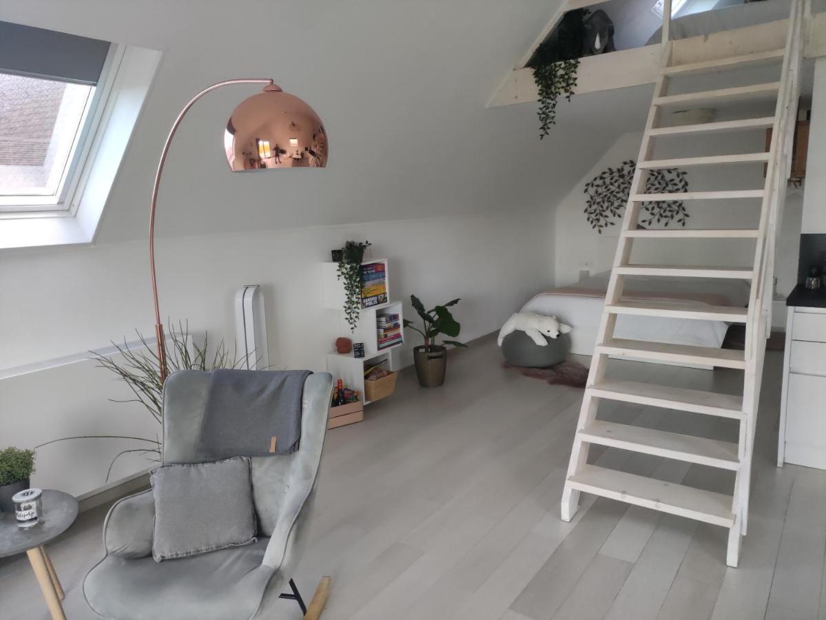 Appartamento *** Biezoe *** Brakel Esterno foto