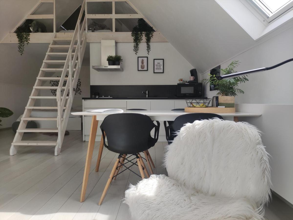 Appartamento *** Biezoe *** Brakel Esterno foto
