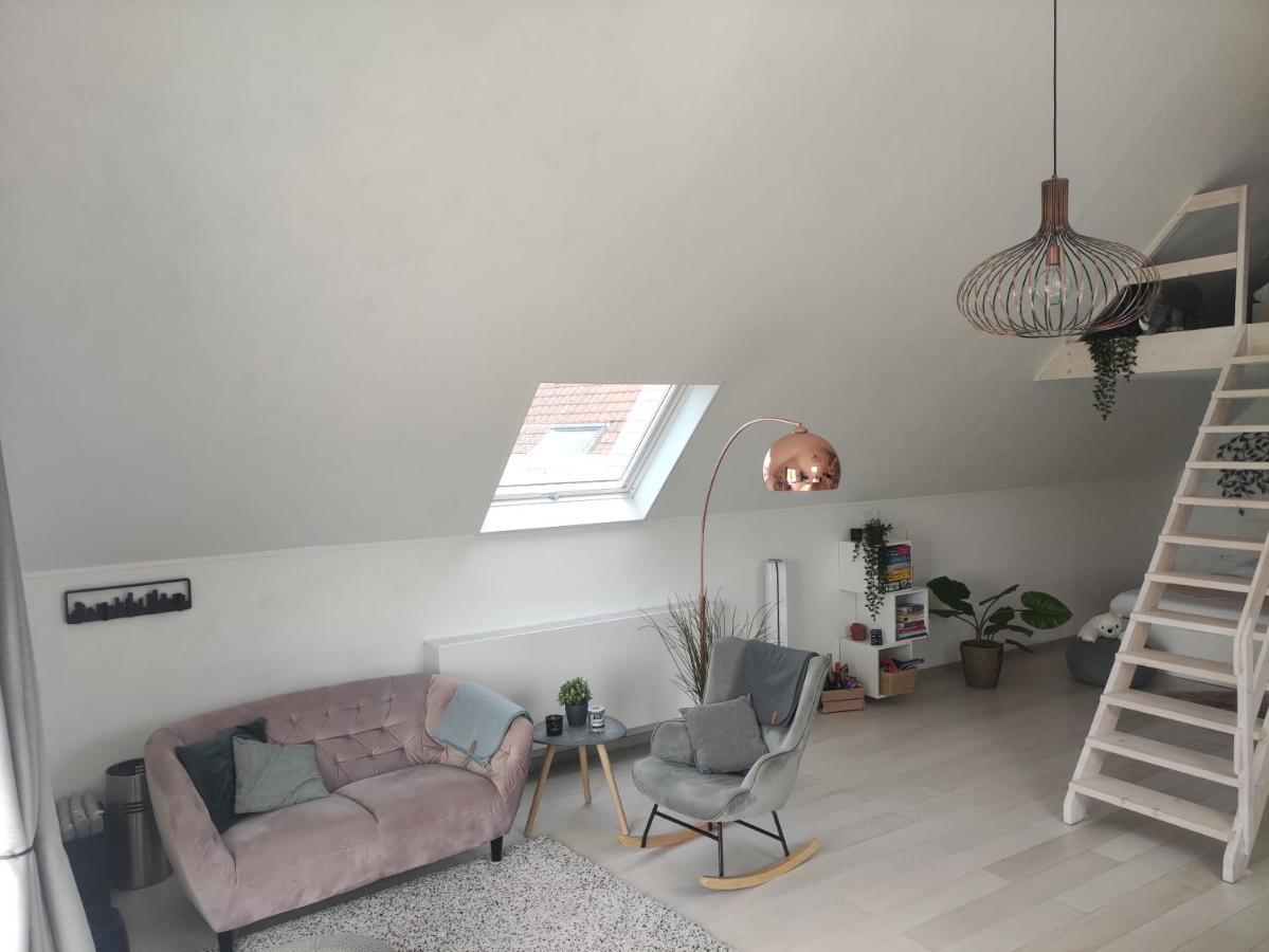 Appartamento *** Biezoe *** Brakel Esterno foto